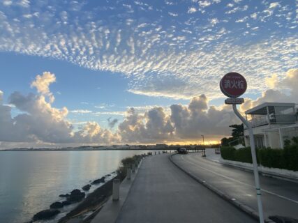 忙しい時ほど毎日のルーティン