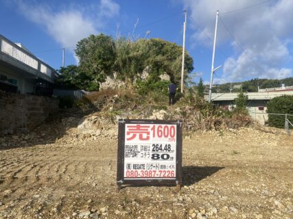 ハブ？アカマター？