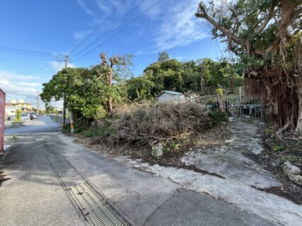 去年の査定に動きが！