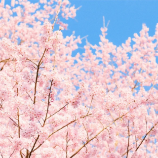 新年度スタート！