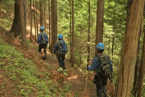 外国人の土地取得について