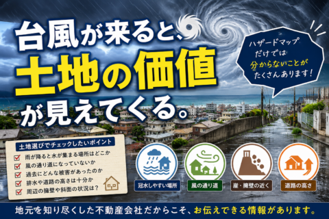 台風が来ると見えてくるもの？
